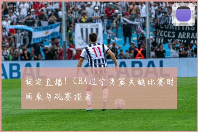 锁定直播！CBA辽宁男篮关键比赛时间表与观赛指南