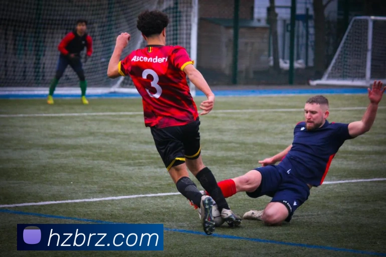 开云手机网页入口平台生态图